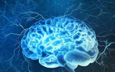 دراسة: تدريب الدماغ يمكنه حل مشاكل 