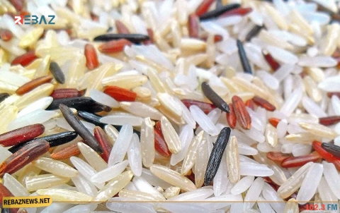 العلماء يحددون الطريقة الأكثر أمانا لطهي الأرز