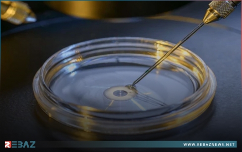 فريق علمي ياباني يكتشف علاجا جديدا للعقم عند الرجال