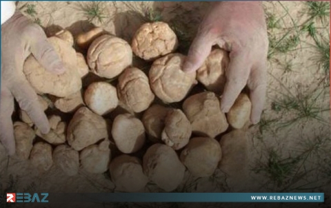 حمص.. مقتل 6 أشخاص بانفجار لغم في أثناء جمعهم الكمأة