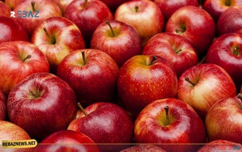 تأثير التفاح الأحمر على صحة الدماغ