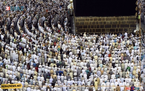 بشرى سارة للحجاج.. إنشاء شركات متخصصة لتقديم الخدمات