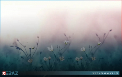 خصائص فصل الربيع