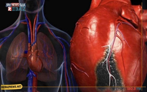  أمراض القلب القاتلة.. سبب رئيسي وحل بسيط جدا