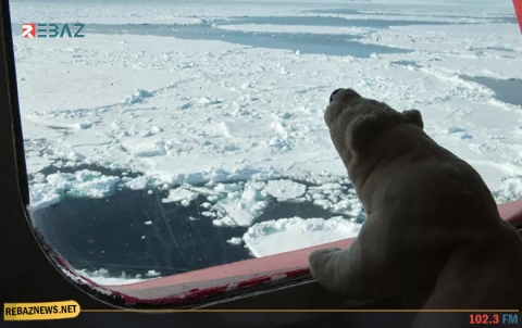 علماء يحذرون: القطب الشمالي يذوب أسرع مما توقعنا