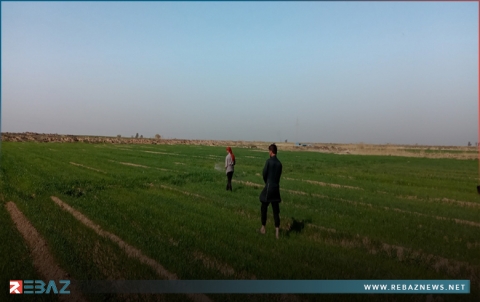 النظام يرفع أسعار الأسمدة للمرة الثانية في أقل من شهر